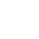 FL(fng)